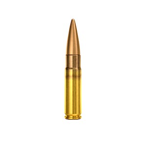 300 AAC Blackout Ammo